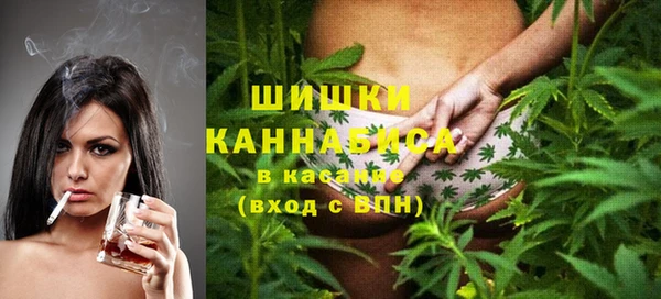 сатива Алексин
