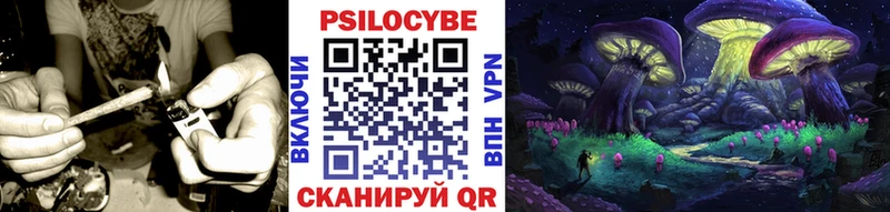 Псилоцибиновые грибы ЛСД  мориарти телеграм  Галич 